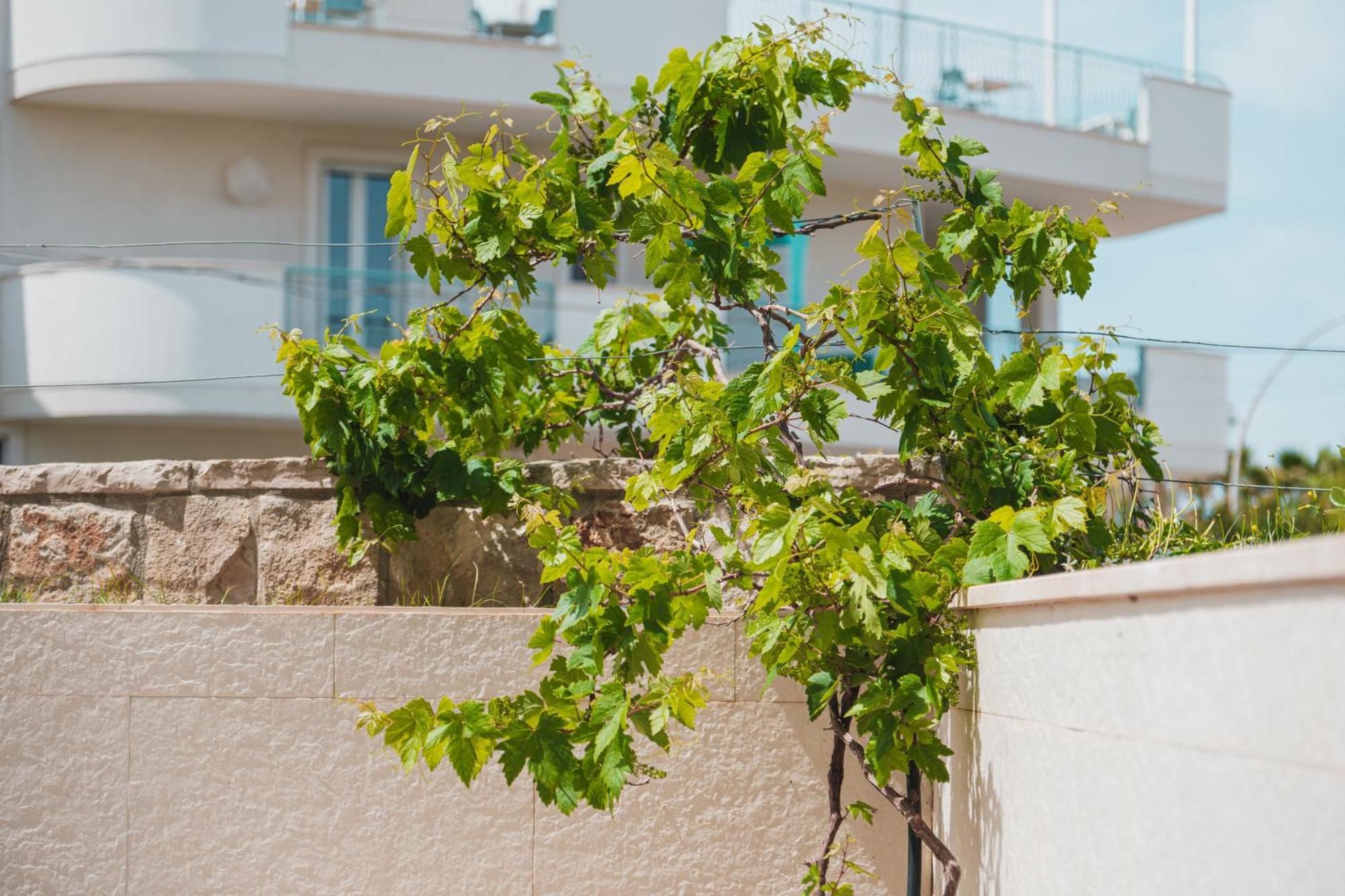 La Casa Di Dodo Apartman Polignano a Mare Kültér fotó